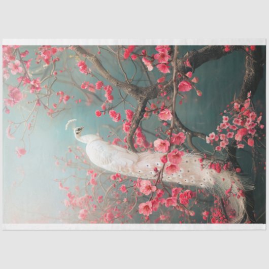 Ätherischer weißer Pfau, Kirschblütenbaum Seidenpapier (Vorderseite)