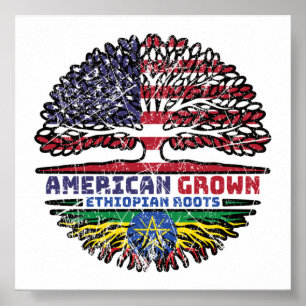 Äthiopien Äthiopien USA USA Vereinigte Staaten Poster