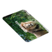 Äthiopien Lion Magnet (Rechte Seite)