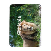 Äthiopien Lion Magnet (Vertikal)