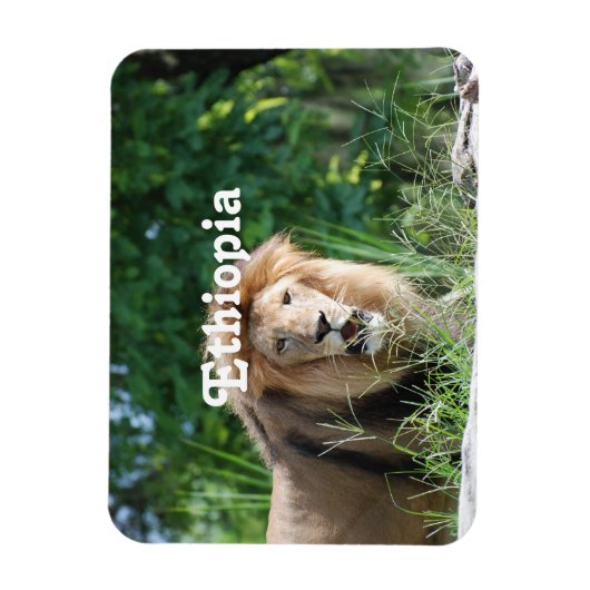 Äthiopien Lion Magnet (Vertikal)