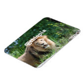 Äthiopien Lion Magnet (Linke Seite)