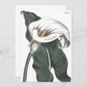 Äthiopische Calla Lily Botanische Illustration Dankeskarte (Vorne/Hinten)