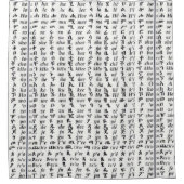 Äthiopisches Amharic-Alphabet Ge'ez Fidel Plakat Duschvorhang (Vorderseite)