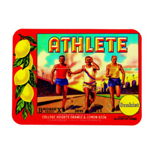 Athlete Fruchtkartett der 30er Jahre Magnet