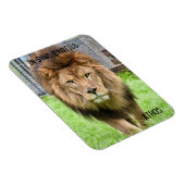 Athos Lion - Magnet (Rechte Seite)