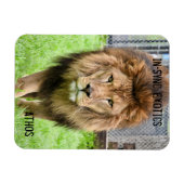 Athos Lion - Magnet (Horizontal)