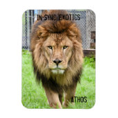 Athos Lion - Magnet (Vertikal)
