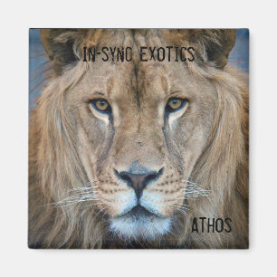Athos - magnet