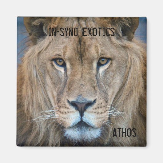 Athos - magnet (Vorne)