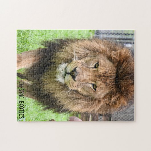 Athos - Puzzle (Horizontal)