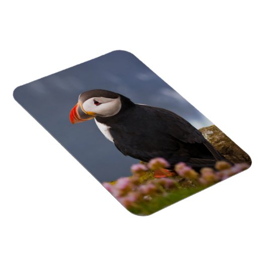 ATL PUFFIN MAGNET (Rechte Seite)
