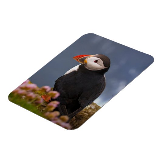 ATL PUFFIN MAGNET (Linke Seite)