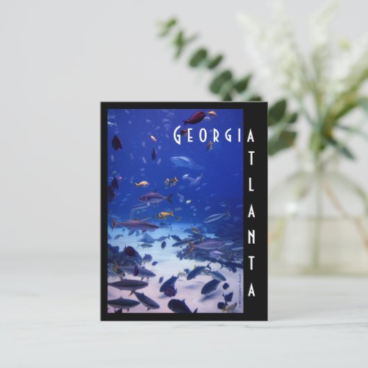 Atlanta Aquarium Postkarte (Stehend Vorderseite)