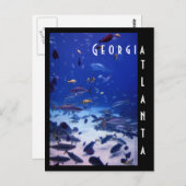 Atlanta Aquarium Postkarte (Vorne/Hinten)