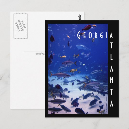 Atlanta Aquarium Postkarte (Vorne/Hinten)