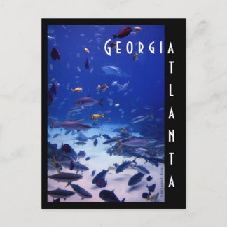 Atlanta Aquarium Postkarte