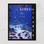 Atlanta Aquarium Postkarte (Vorderseite)