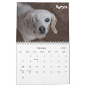 Atlanta-Beagle-Rettungs-Kalender 2013 Kalender (Feb 2027)
