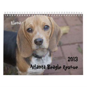 Atlanta-Beagle-Rettungs-Kalender 2013 Kalender