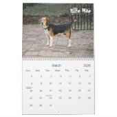 Atlanta-Beagle-Rettungs-Kalender 2013 Kalender (Mär 2026)