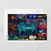 Atlanta Botanischer Garten Lichter Postkarte (Vorne/Hinten)