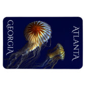 Atlanta Georgia Curious Jellyfish Magnet (Horizontal)