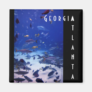 Atlanta Georgia Magnet