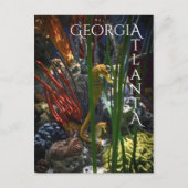 Atlanta Georgia Seepferde Postkarte (Vorderseite)