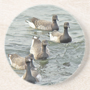 Atlantic Brant Geese Season's Greetings Series Getränkeuntersetzer