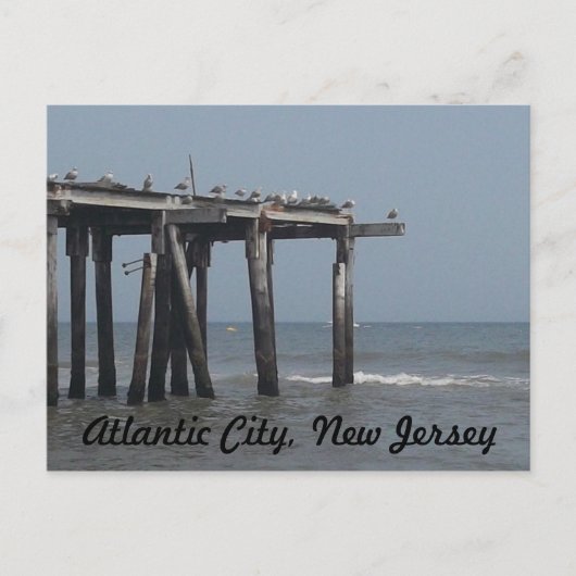 Atlantic City Beach mit Vogelschutzkarte Postkarte (Vorderseite)