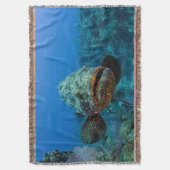 Atlantic Goliath Grouper Decke (Vorderseite Vertikal)