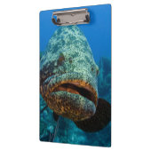 Atlantic Goliath Grouper Klemmbrett (Links)