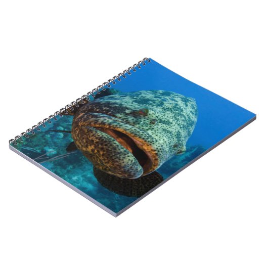 Atlantic Goliath Grouper Notizblock (Linke Seite)