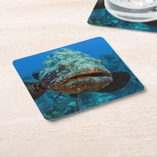 Atlantic Goliath Grouper Rechteckiger Pappuntersetzer (angewinkelt)