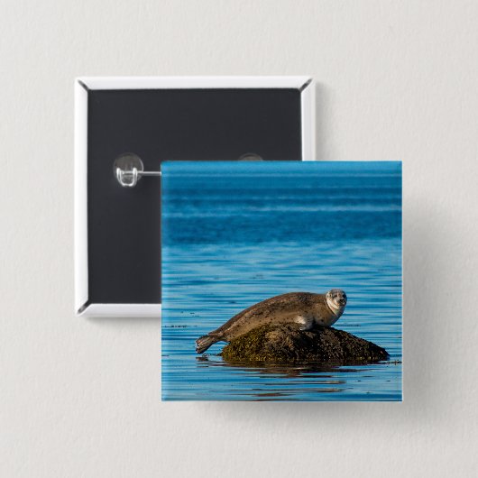 Atlantic Harbor Seal Button (Vorne & Hinten)