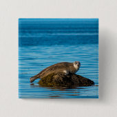 Atlantic Harbor Seal Button (Vorderseite)