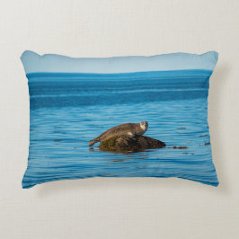 Atlantic Harbor Seal Dekokissen