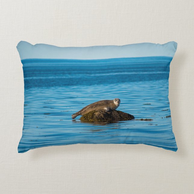 Atlantic Harbor Seal Dekokissen (Vorderseite)