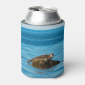 Atlantic Harbor Seal Dosenkühler (Kanne Vorderseite)