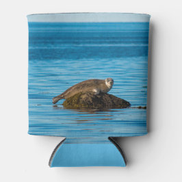 Atlantic Harbor Seal Dosenkühler