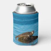 Atlantic Harbor Seal Dosenkühler (Kanne Rückseite)