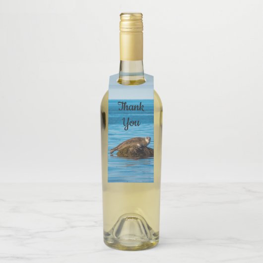Atlantic Harbor Seal Flaschenanhänger (Auf Flasche)