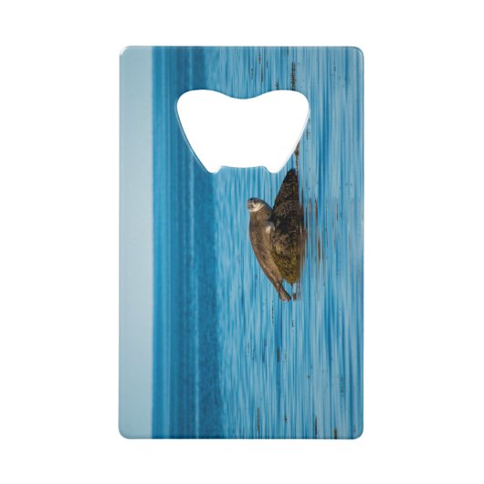 Atlantic Harbor Seal Geldbeutel Flaschenöffner (Vorderseite)