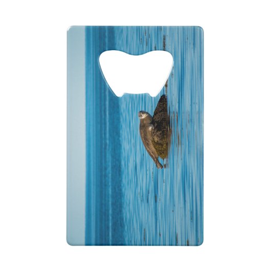 Atlantic Harbor Seal Geldbeutel Flaschenöffner (Rückseite)