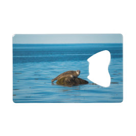 Atlantic Harbor Seal Geldbeutel Flaschenöffner