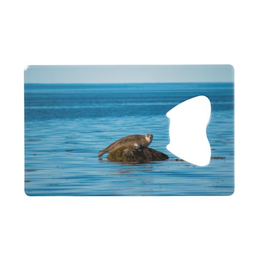 Atlantic Harbor Seal Geldbeutel Flaschenöffner (Vorderseite (Horizontal))