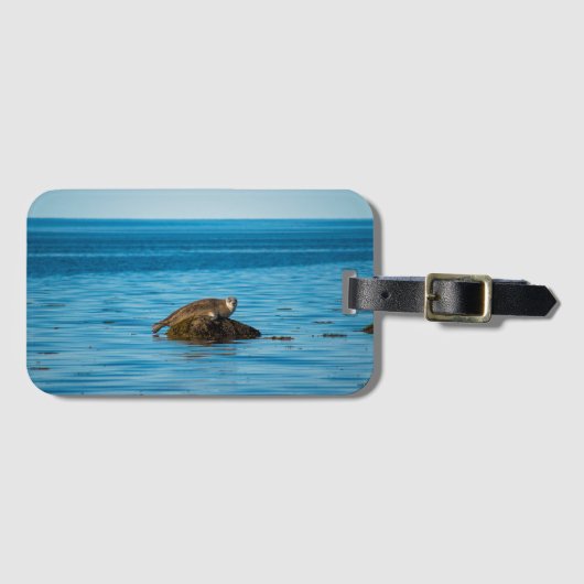 Atlantic Harbor Seal Gepäckanhänger (Vorderseite (Horizontal))