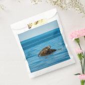 Atlantic Harbor Seal Geschenktütchen (Versiegelt)