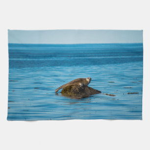 Atlantic Harbor Seal Geschirrtuch